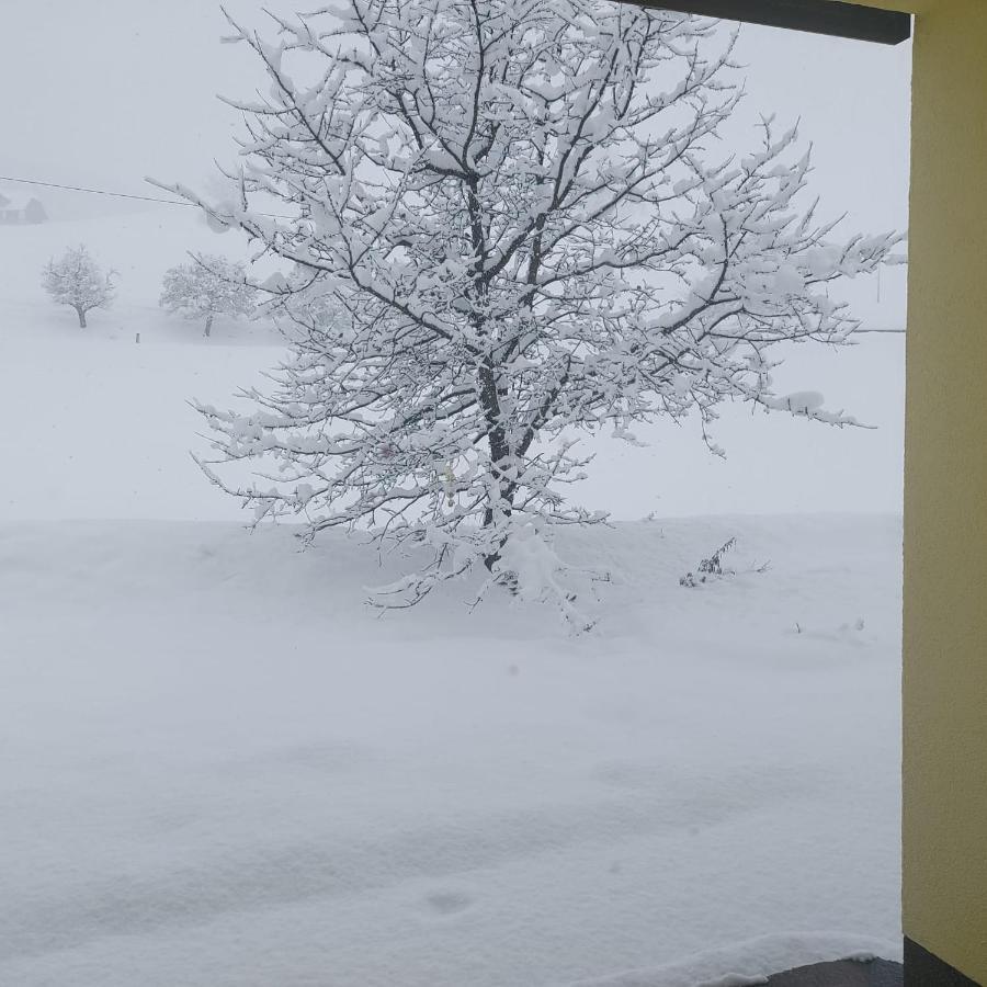 Greimblick Lägenhet Sankt Peter am Kammersberg Exteriör bild